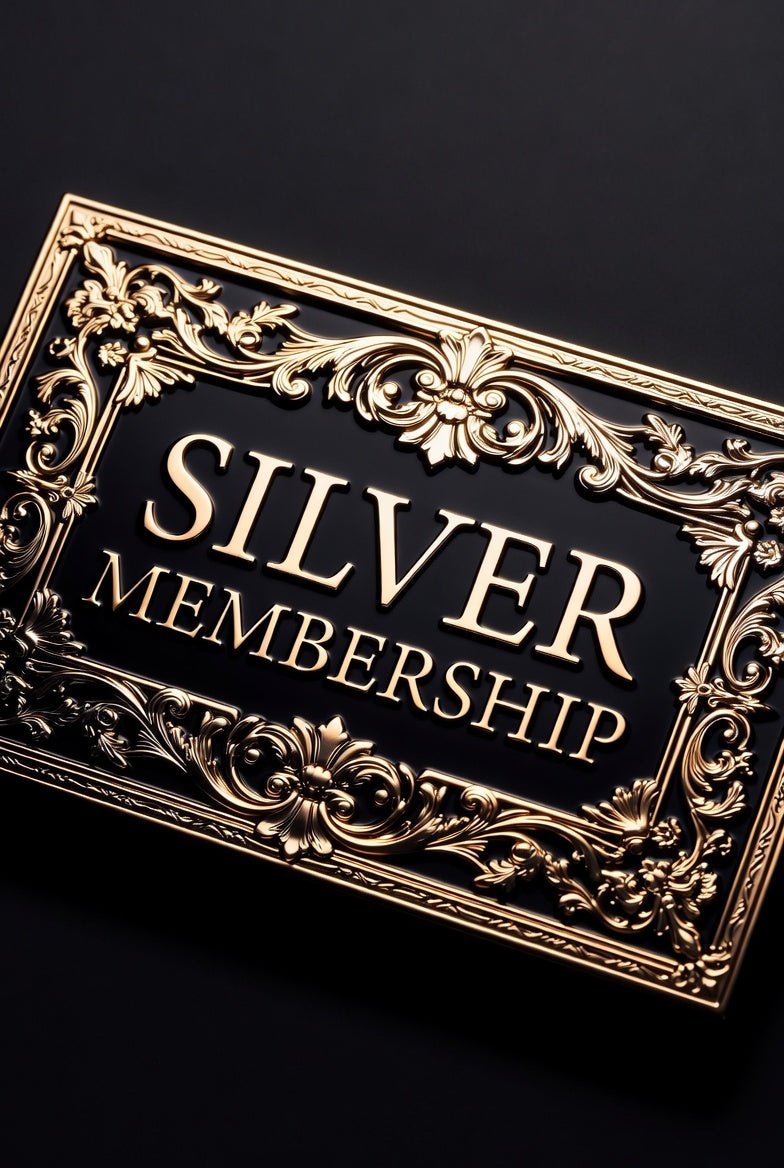 SILVER CARE PLAN